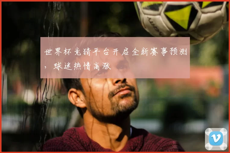 世界杯竞猜平台开启全新赛事预测，球迷热情高涨