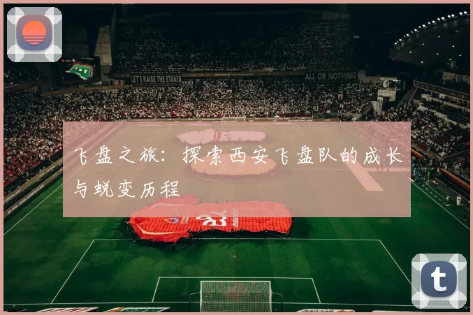 飞盘之旅：探索西安飞盘队的成长与蜕变历程