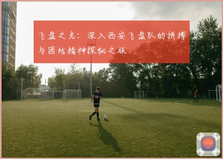 飞盘之光:深入西安飞盘队的拼搏与团结精神探秘之旅