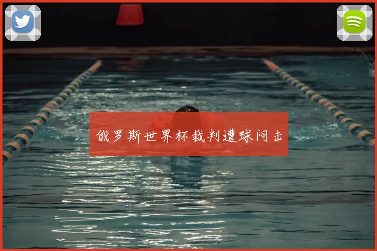 俄罗斯世界杯裁判遭球闷击