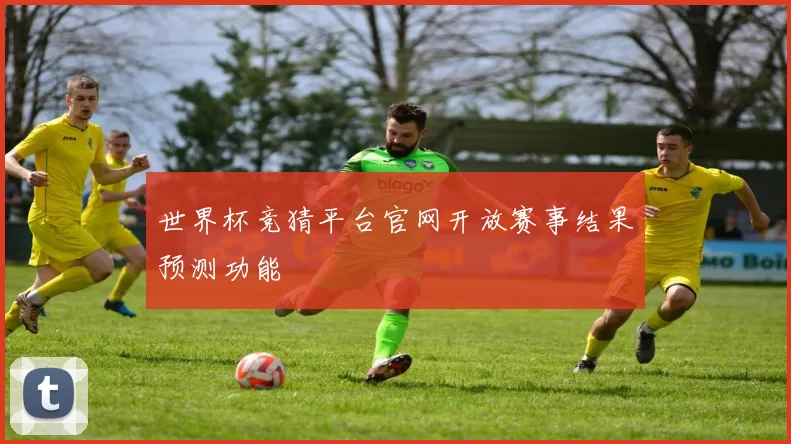 世界杯竞猜平台官网开放赛事结果预测功能