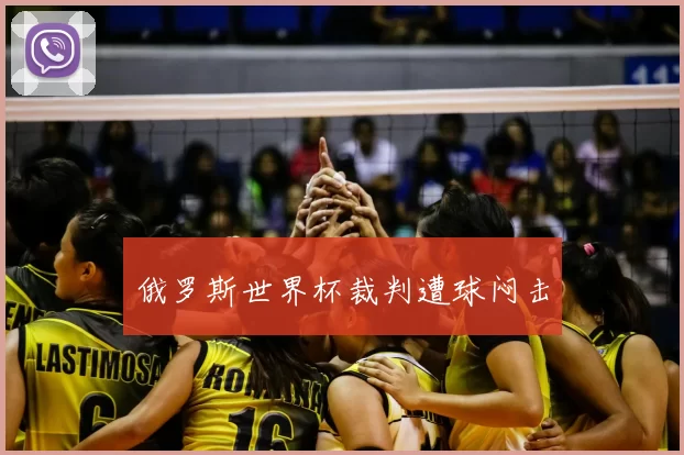 俄罗斯世界杯裁判遭球闷击