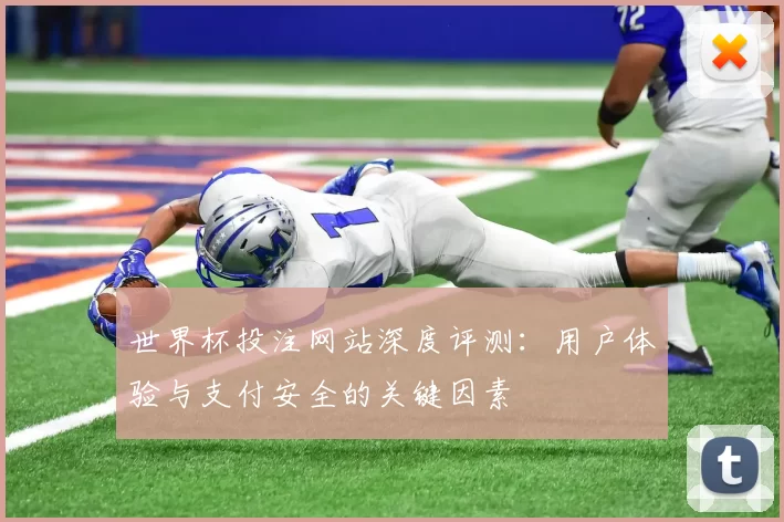 世界杯投注网站深度评测：用户体验与支付安全的关键因素