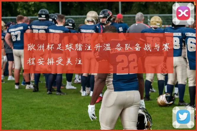 欧洲杯足球赌注升温 各队备战与赛程安排受关注