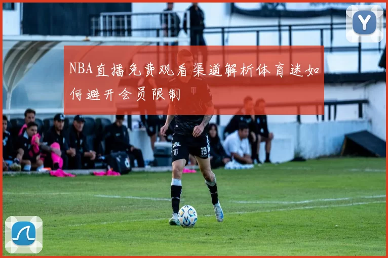 NBA直播免费观看渠道解析体育迷如何避开会员限制