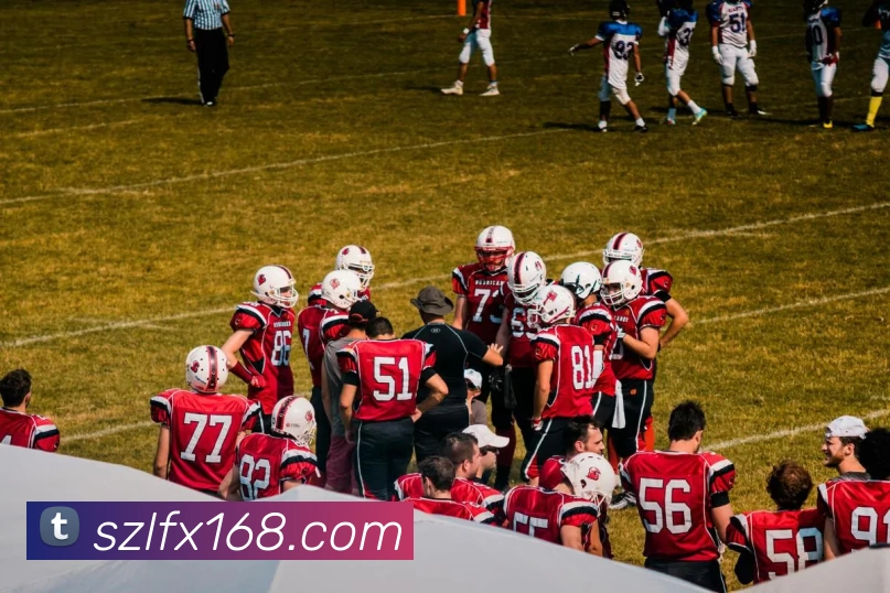 买球赛服务体系